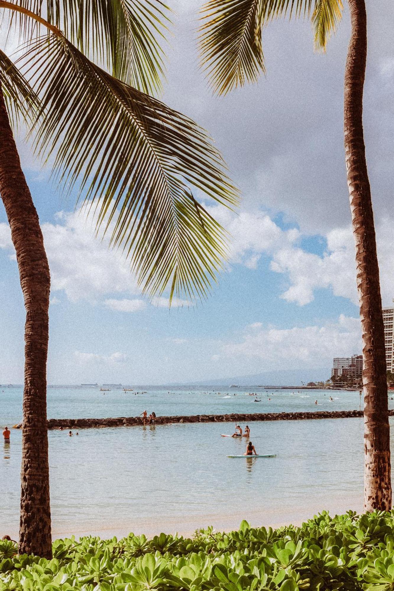 Royal Grove Waikiki Hotel Honolulu Exterior foto